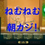 ゆかり＆きりたん　朝カジノ生放送 　高額配当で即終了　【JoyCasino】