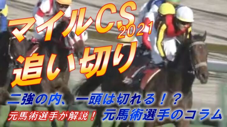 マイルチャンピオンシップ2021　追い切り診断！　シュネルマイスターVSグランアレグリア！！　片方は切ります！　元馬術選手のコラム【競馬】