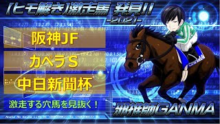 ＜阪神ジュベナイルフィリーズ＆カペラステークス＆中日新聞杯＞【ヒモ解き】激走馬 発見！2021